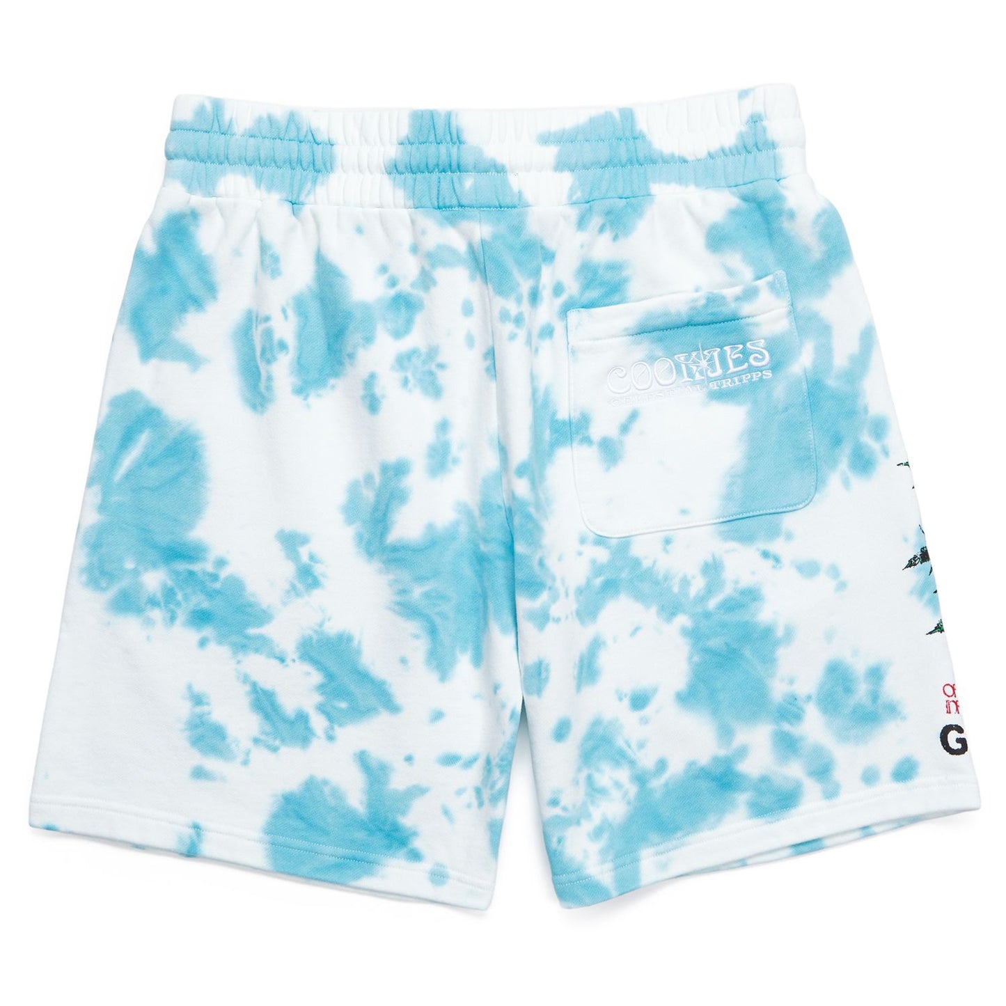 Global Smoke Fleece Shorts