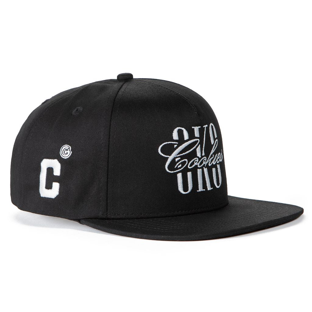 Premiere Script 5 Panel Snapback