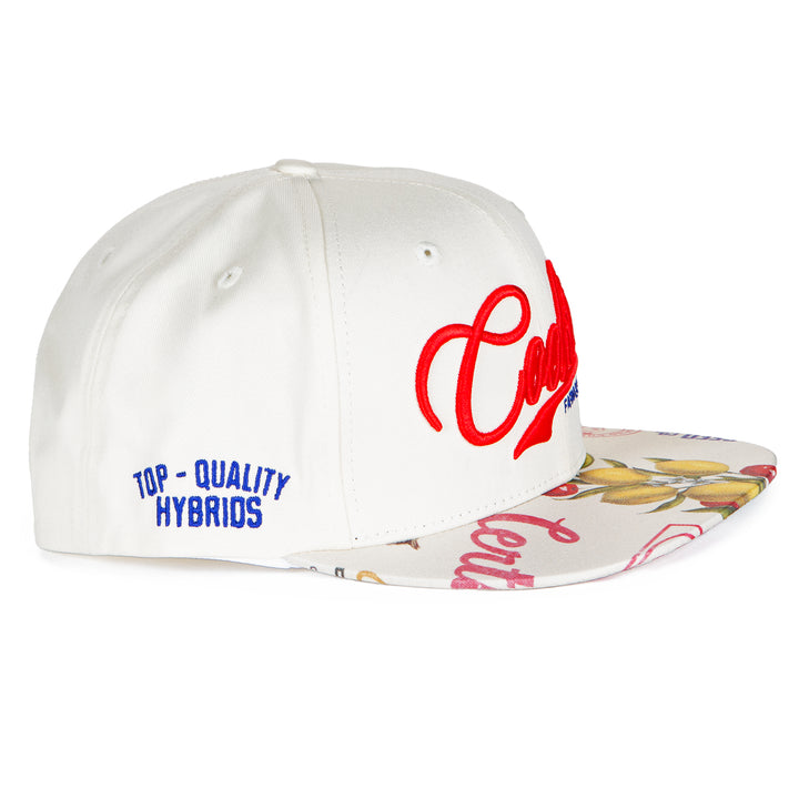 Cuban Link Script Snapback With Printed Bill