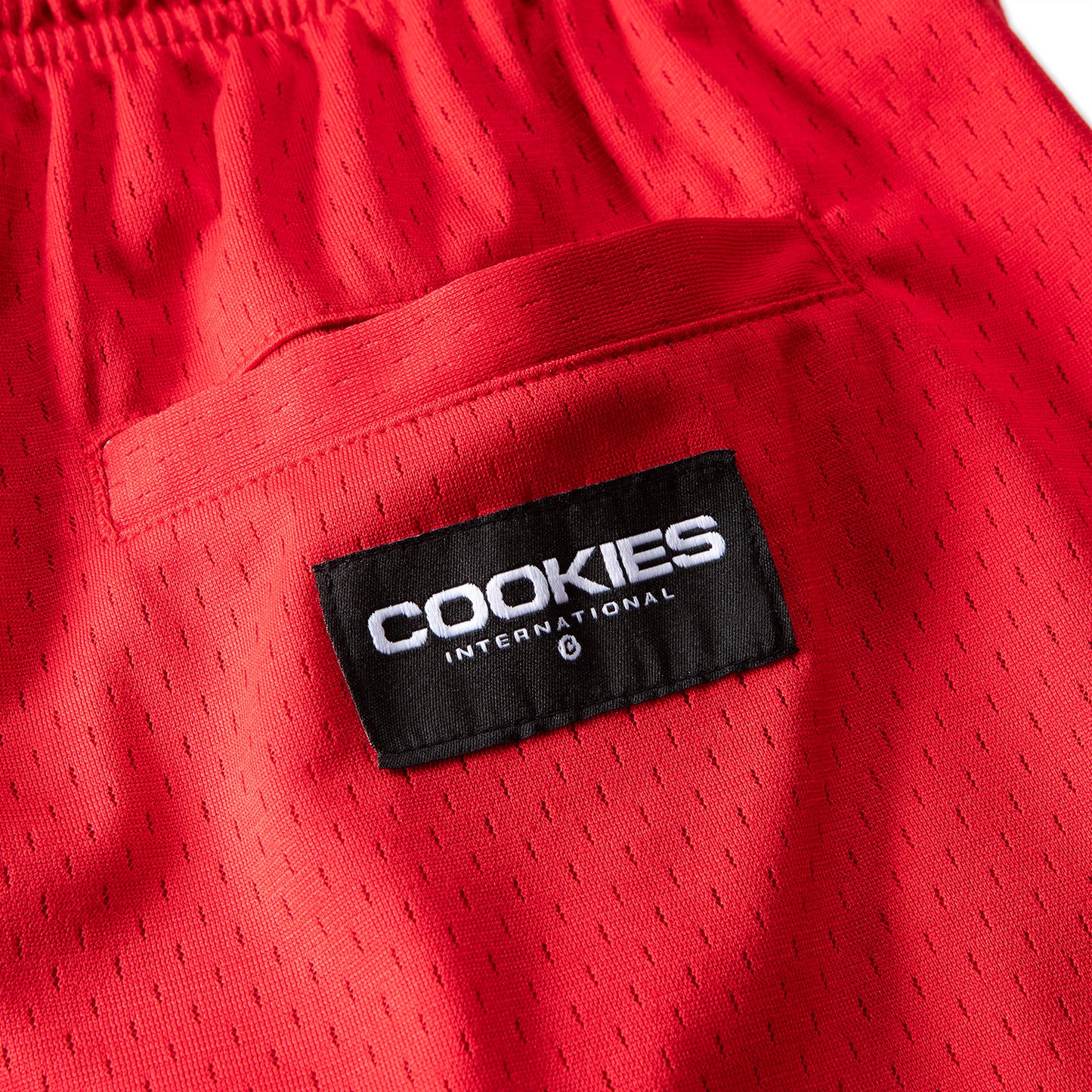 Intermural Mesh Shorts