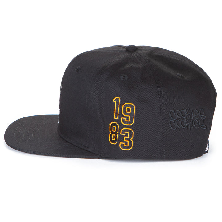 Livewire Snapback Hat With Applique