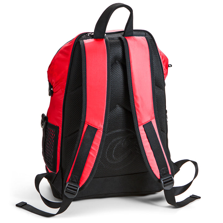 Luxe Satin "Smell Proof" Backpack