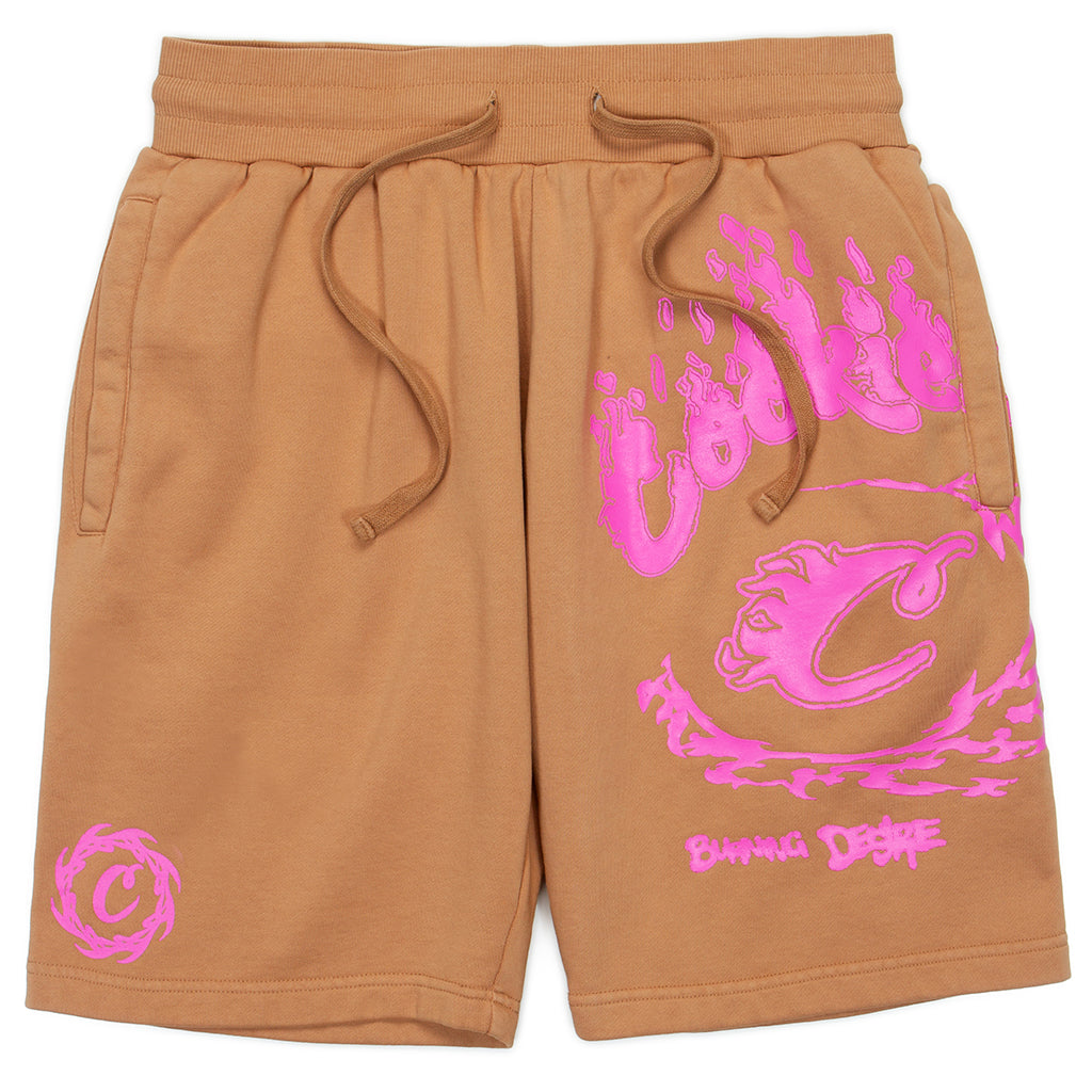 Slow Burn Pigment Fleece Shorts
