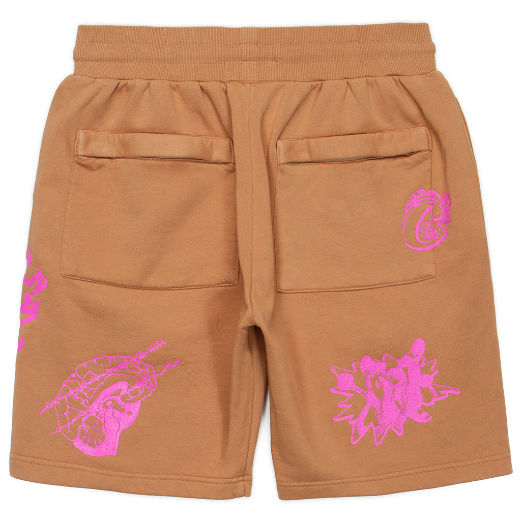 Slow Burn Pigment Fleece Shorts