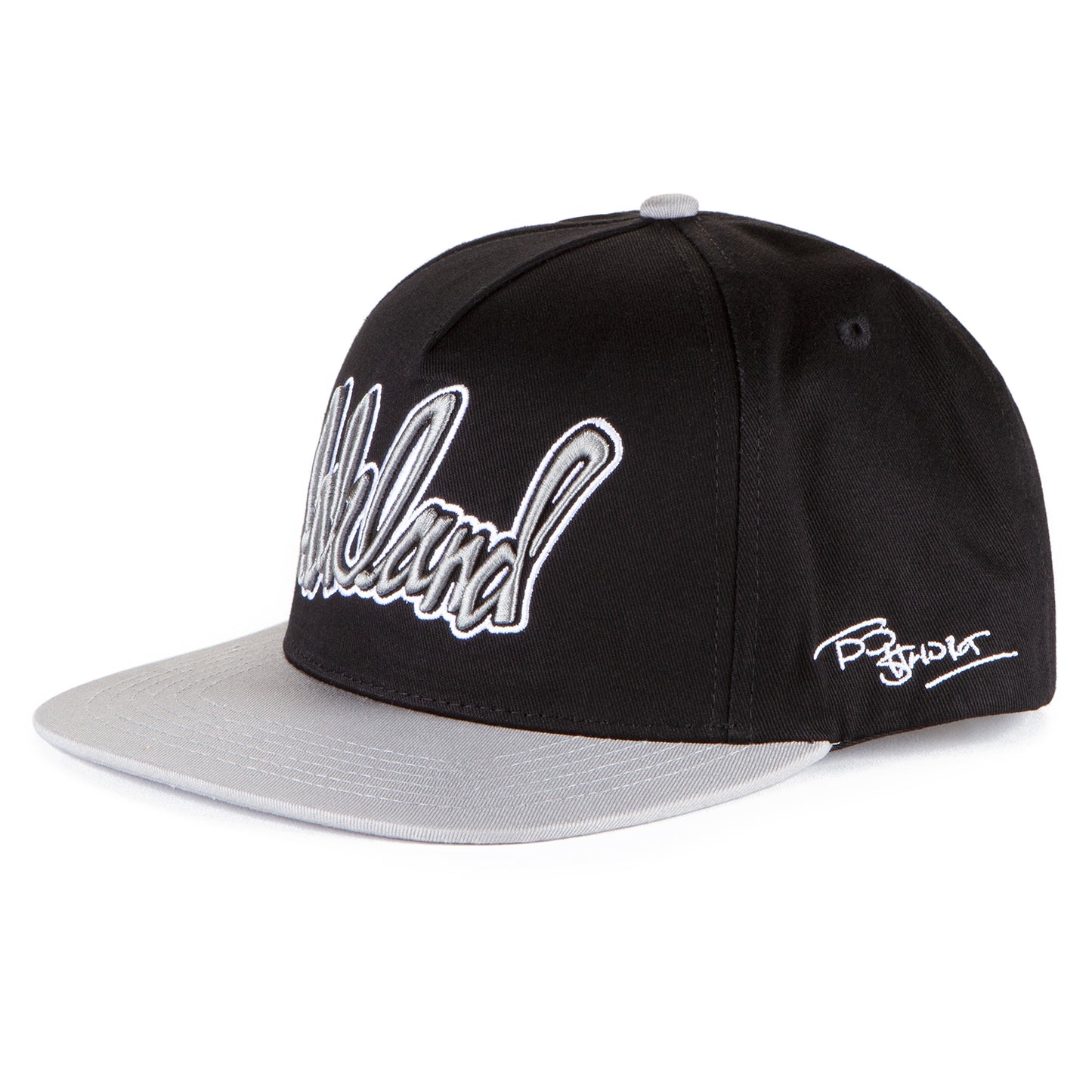 The Town 2-Tone Snapback Cap - Too $hort