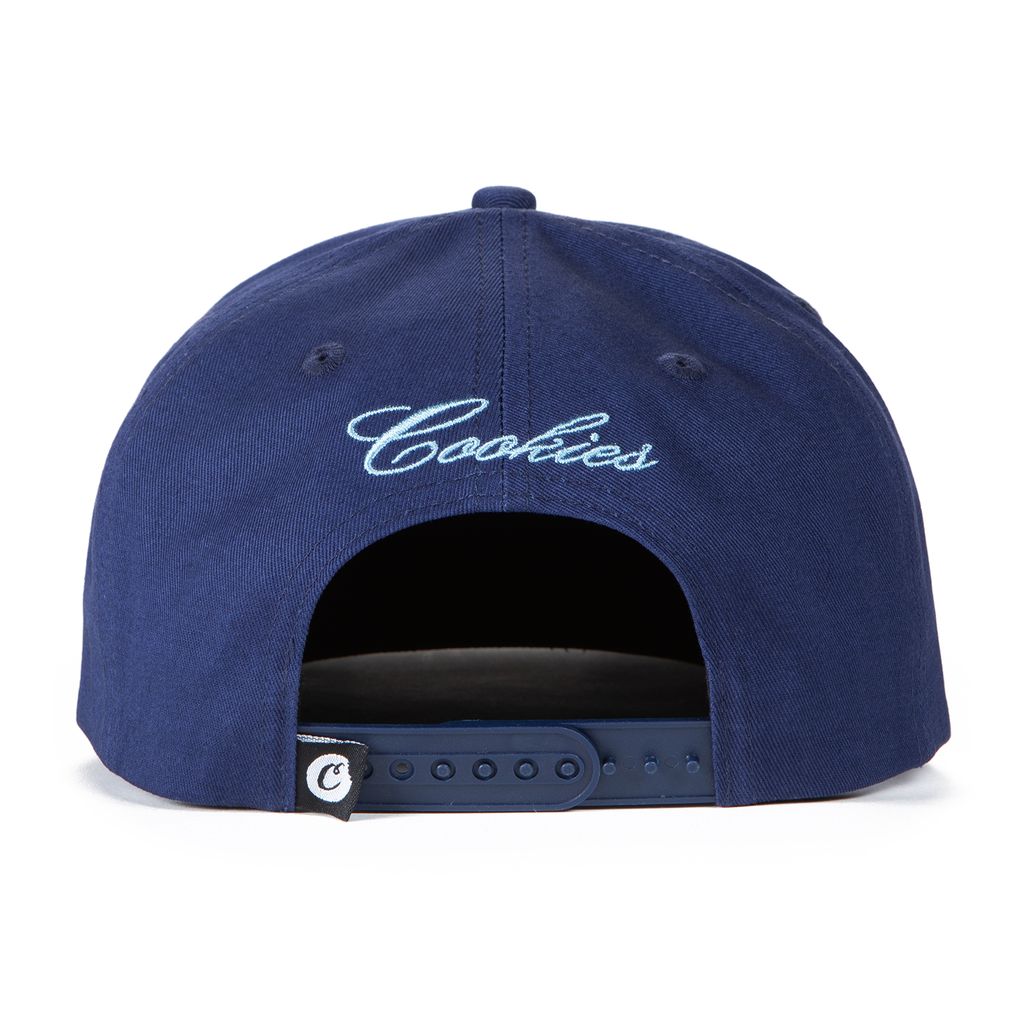 Premiere Script 5 Panel Snapback
